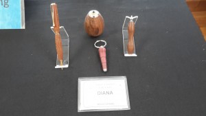 Diana work-blurred